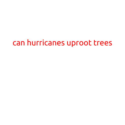 Can Hurricanes Uproot Trees?