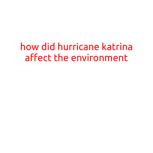 How Did Hurricane Katrina Affect the Environment?