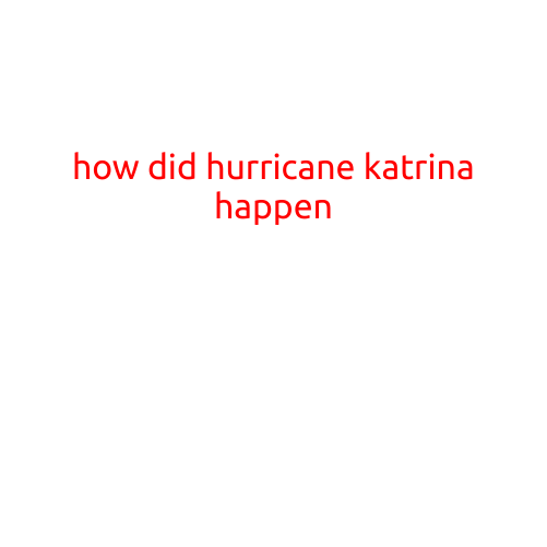 How Did Hurricane Katrina Happen?