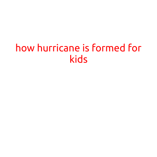 How Hurricane is Formed for Kids