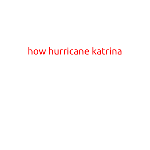 How Hurricane Katrina Became One of the Most Devastating Natural Disasters in US History