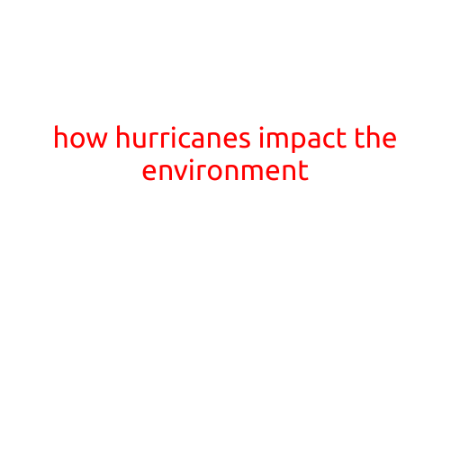 How Hurricanes Impact the Environment