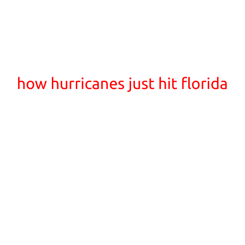 How Hurricanes Just Hit Florida