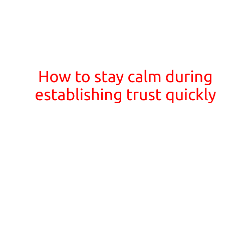 How to Stay Calm During Establishing Trust Quickly