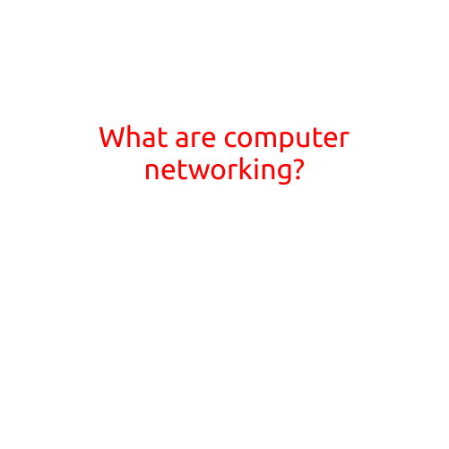 What are Computer Networking?