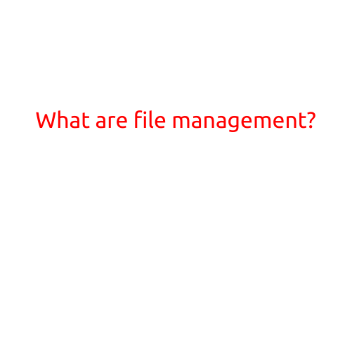 What are File Management?