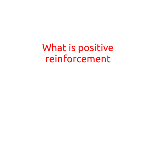 What is Positive Reinforcement?