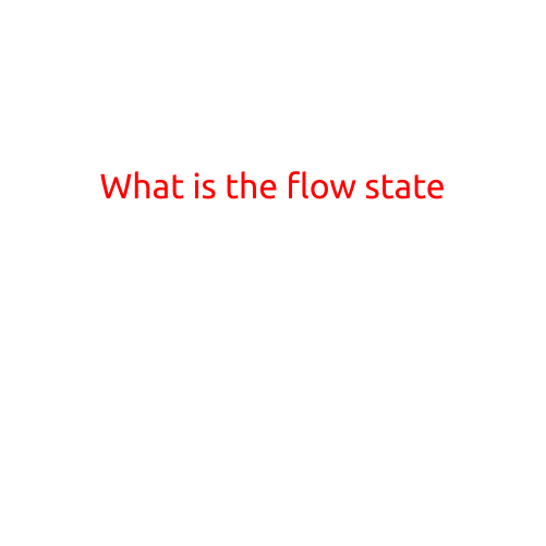 What is the Flow State?