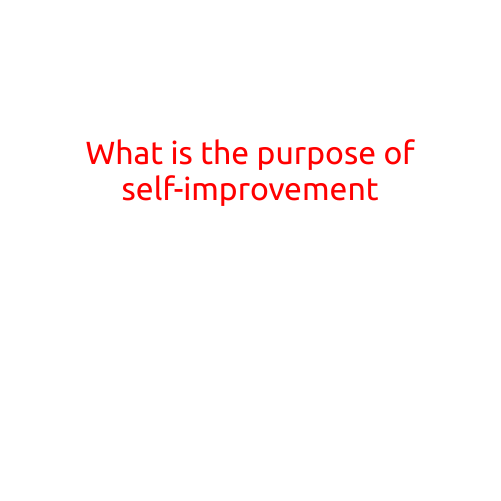 What is the Purpose of Self-Improvement?