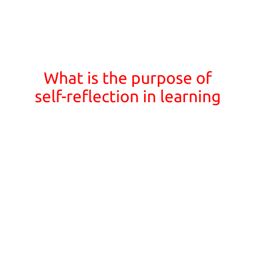 What is the Purpose of Self-Reflection in Learning?