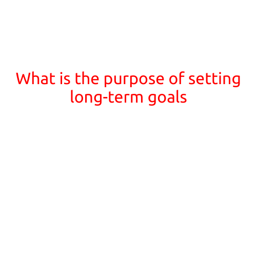 What is the Purpose of Setting Long-Term Goals?