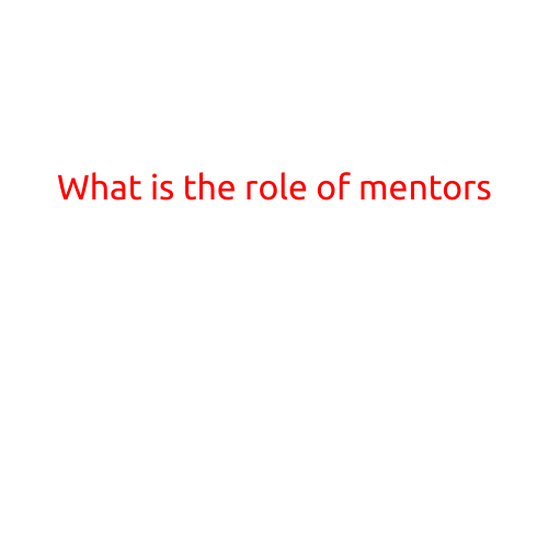 What is the Role of Mentors?