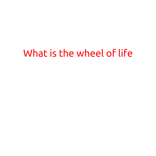 What is the Wheel of Life?