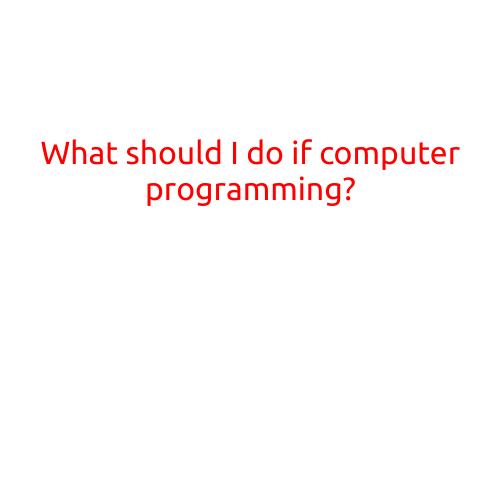 What Should I Do if Computer Programming is Your Career Path?