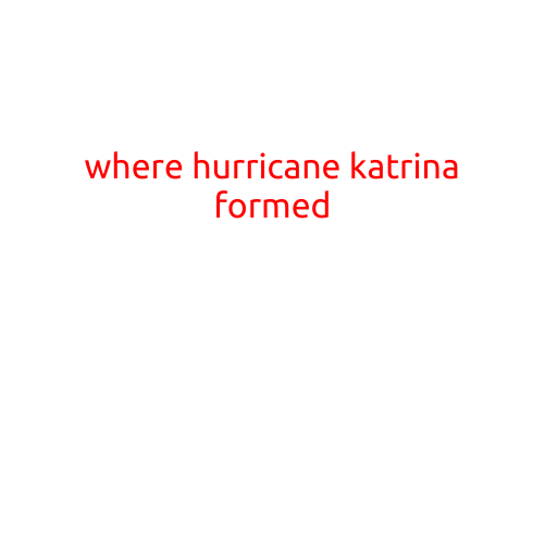 Where Hurricane Katrina Formed: A Look Back at the Devastating Storm