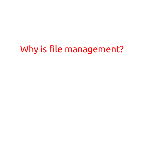 Why is File Management Important?